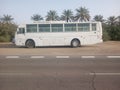 Bus on the road near a date farms in shawen town dubai