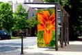 Bus shelter at bus stop. light box side ad panel. colorful sample image for mock-up