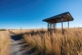 bus stop in the middle of nowhere, with tall grass and clear blue sky above Royalty Free Stock Photo