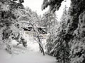 Bus transporting tourists in winter