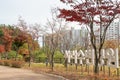 Gijang Sara Waterside Park autumn scenery in Busan, Korea