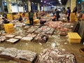 Operators arranging fish boxes at Busan Jagalchi Market