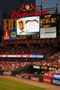 Busch Stadium Royalty Free Stock Photo