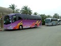 Buses. coaches. buses or coaches parked in a car park