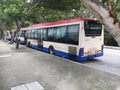 Buses are parked along the roadside under the shady trees. Clean street view.