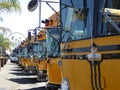 Yellow Buses parked