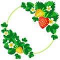 Bush blooming strawberry with berries and flowers frame background for your text vector illustration Royalty Free Stock Photo