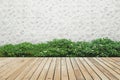 Bush brick wall and wood floor background Royalty Free Stock Photo