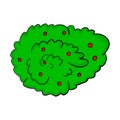 Bush cartoon vector symbol icon design. Beautiful illustration i