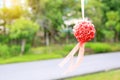 Bush of decoration artificial rose hanging in the nature park. Wedding decorative in the green garden outdoor