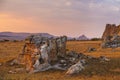 Bush desert on a colorful sunset landscape in Madagascar Royalty Free Stock Photo