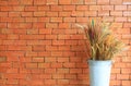 Bush of dry grass flowers in basket decorated at cafe against red brick wall background Royalty Free Stock Photo