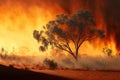 Bush fire In australian outback