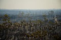 Bush Fire Devastation Royalty Free Stock Photo