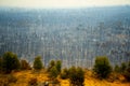 Bush Fire Devastation Royalty Free Stock Photo