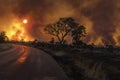 Bush fire in Kruger Park Royalty Free Stock Photo