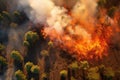 Bush forest wild fire, aerial drone view Royalty Free Stock Photo