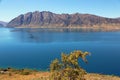 Bush and Hawea Lake