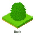 Bush icon, isometric style.