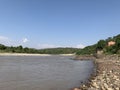 Bush like vegetation near Chenab river in akhnoorandplains of Jammu near India Pakistan border