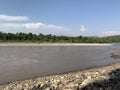 Bush like vegetation near Chenab river in akhnoorandplains of Jammu near India Pakistan border