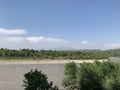 Bush like vegetation near Chenab river in akhnoorandplains of Jammu near India Pakistan border