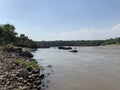 Bush like vegetation near Chenab river in akhnoorandplains of Jammu near India Pakistan border