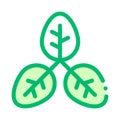 Bush Offshoot Plant Leaves Vector Thin Line Icon