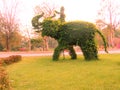 Bush in the park trimmed in the shape of an elephant, sunset sunlight