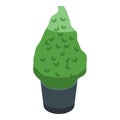 Bush pot icon isometric vector. Tree trim Royalty Free Stock Photo
