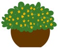 Floral Plant in Pot, Harvest Festival, Bush Vector