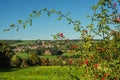 Bush with red berries with in the background a village on hillside under a blue sky. Royalty Free Stock Photo