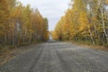 Bush Road in Autumn Royalty Free Stock Photo