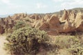 A bush and rocky hills. Panoramic view of Cappadocia, Turkey. Landscape background. Royalty Free Stock Photo
