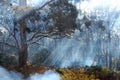 Bush smoke from fire in Blue Mountains, Australia