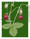 Bush of strawberry. Cross stitch scheme