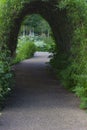 Bush tunnel in a park