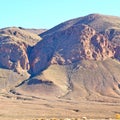 bush in valley morocco africa the atlas dry mountain Royalty Free Stock Photo