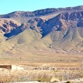 bush in valley morocco africa the atlas dry mountain Royalty Free Stock Photo