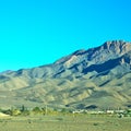 bush in valley morocco africa the atlas dry mountain Royalty Free Stock Photo