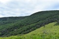 Bush walking in the mountains