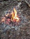 Bushcraft warming fire in the forest