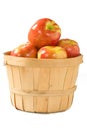 Bushel of Apples Royalty Free Stock Photo