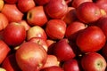 Bushel of Apples