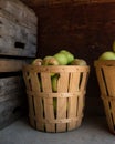 A bushel of apples