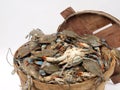 Bushel basket of crabs2