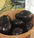 Bushel basket of Italian organic egg plants