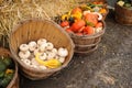 Bushel baskets of gourds and squash