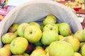 Bushel of Green Apples