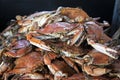 Bushel of orange steamed crabs piled for a crabfeast